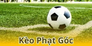 keo phat goc 2