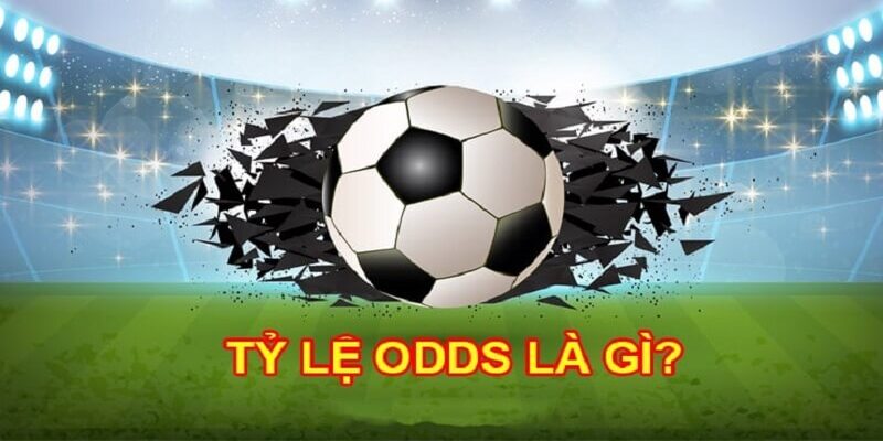 Odds là gì? Cách hiểu đúng để tận dụng tỷ lệ kèo hiệu quả 2 Tỷ lệ odds là gì? Giải mã cách nhà cái định giá rủi ro