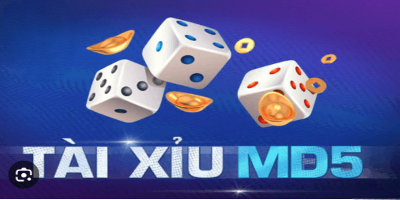 Tài xỉu MD5 - Chơi an toàn, hiệu quả tại nhà cái Tài Xỉu 4 Bí quyết tăng cơ hội thắng lớn trong 2025